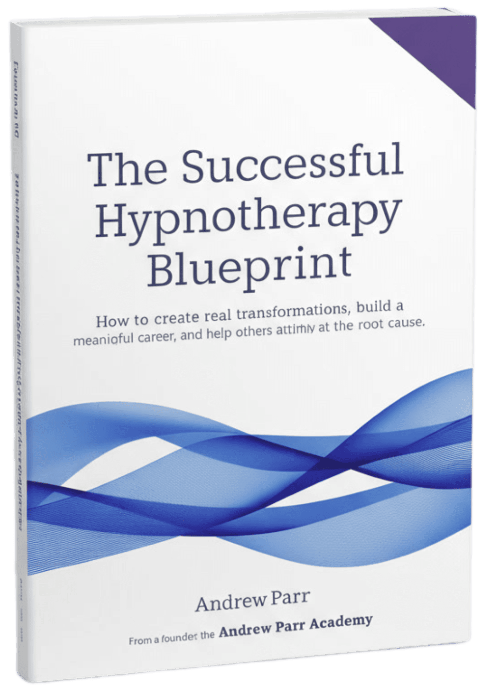 Successful hypnotherapy blueprint mock up (3)