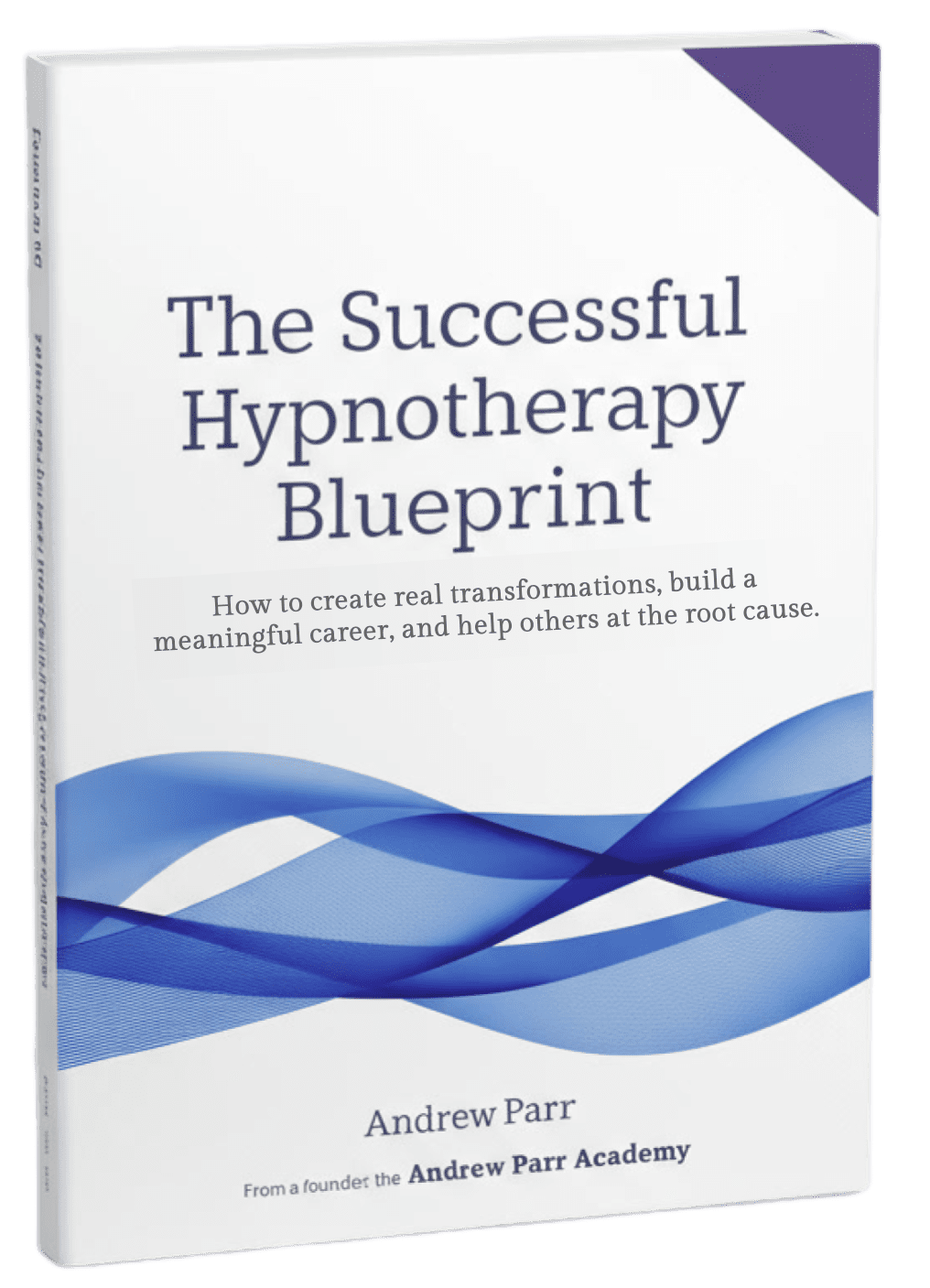Successful hypnotherapy blueprint mock up (5)